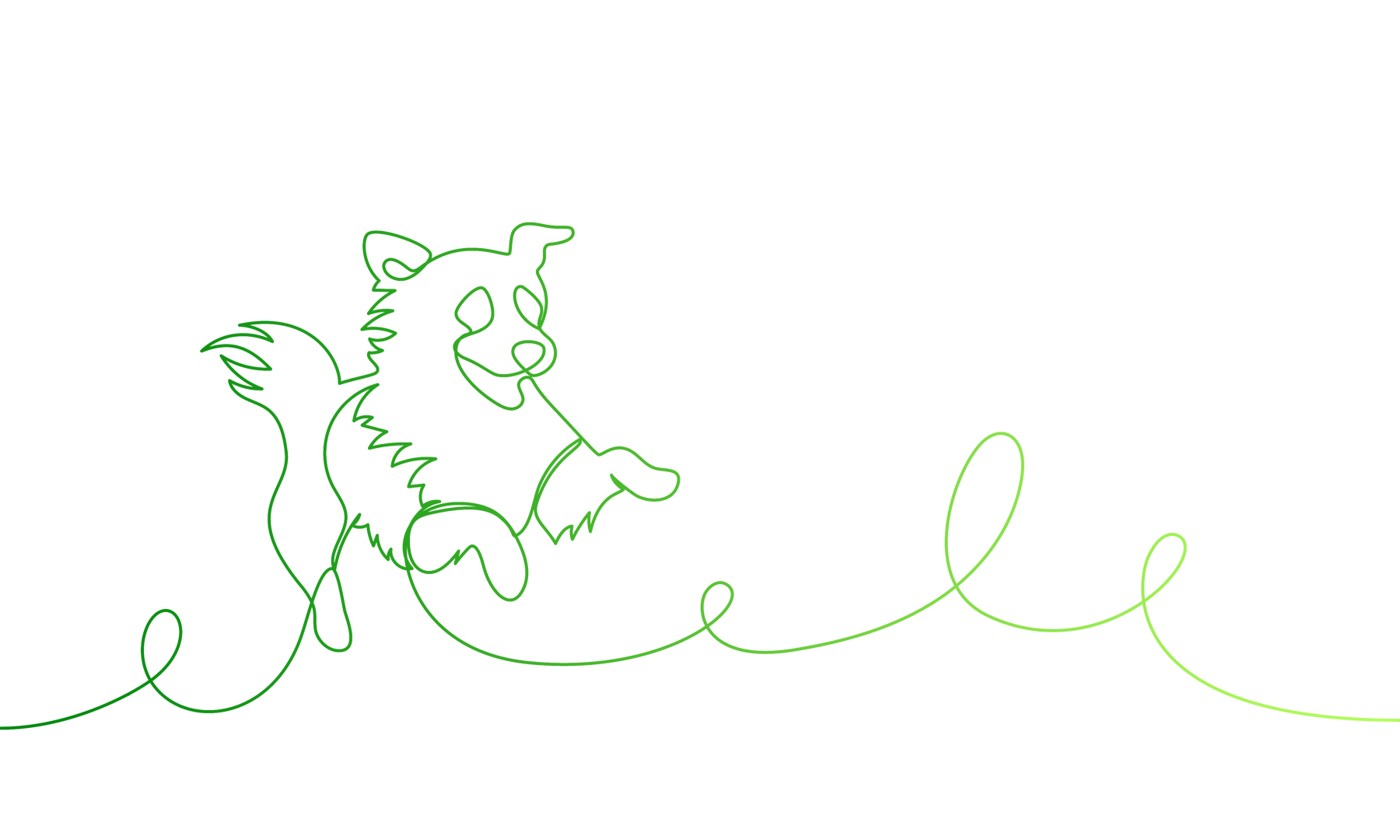 dog field line drawing